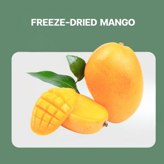 FREEZE-DRIED MANGO